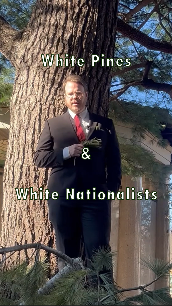 Whites pines and white nationalists